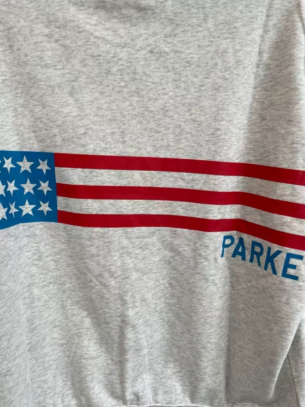 Parke Gray Crewneck Sweater with Red & Blue Flag Graphic - Picture 2 of 6